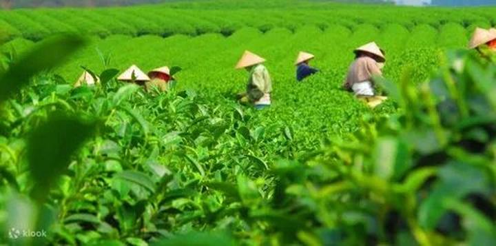 Từ 3 kiểu giày 